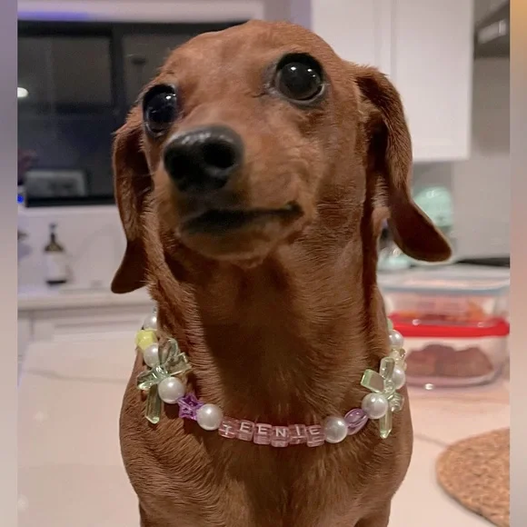 Custom pet necklace! 💘 🐾 - Picture 1 of 4